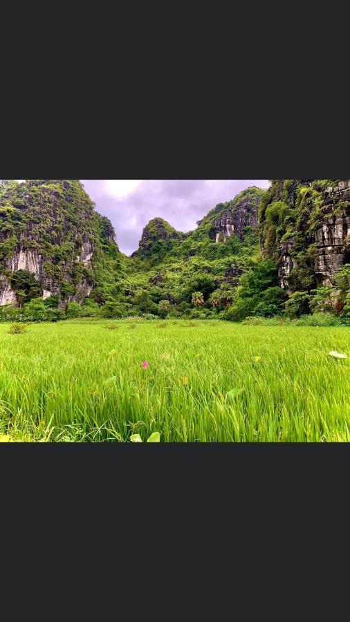 Tam Coc Scenery Homestay Van Lam Exterior foto